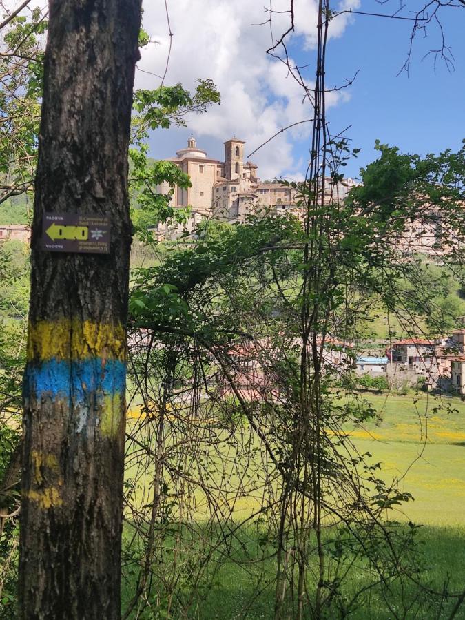 Вілла La Bottega Del Fabbro Affitto Breve Contigliano Екстер'єр фото